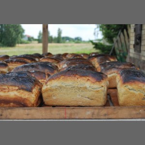 Wioska chlebowa
