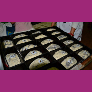 Oferta wycieczkowa do wioski chlebowej